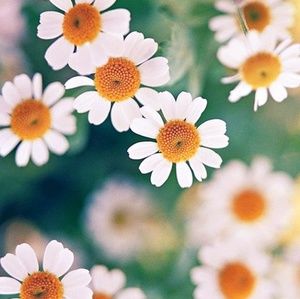 Meet your Posher, Kathleen